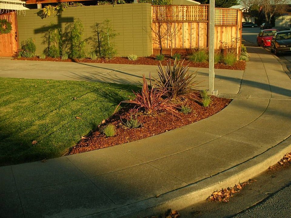 New Sod & Landscaping