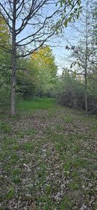 10434 Stevens Rd, Brant, MI, 48614