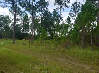 0 County Road 231, Lake Butler, FL 32054