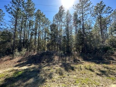 0 SW 52nd Lane Rd #11, Ocala, FL, 34481