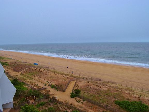 DSC_1065