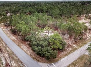 4519 W Tomahawk Dr, Beverly Hills, FL 34465