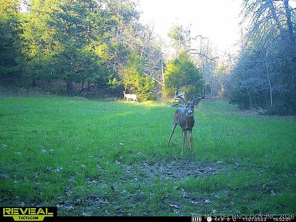 2nd image of 240 Magnolia Ln