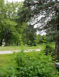 W6411 Kasten Rd, Lake Mills, WI, 53551