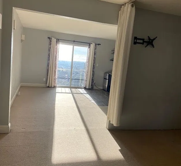 Selborne Dr — Photo 8