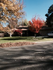 1112 Mills Ave, Modesto, CA, 95350