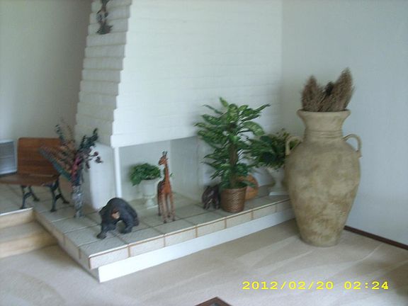 Fire Place in Living Room!