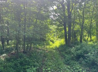 0 County Road 1 PARCEL C, Trumansburg, NY 14886