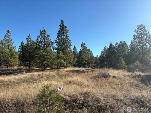 35410 Prairie Lane N Lot 4, Creston, WA 99117