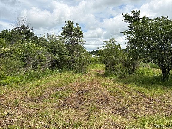 5th image of Two Rod Rd
