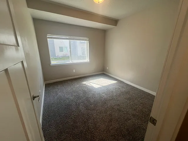 Vine Bldg 14: Unit 202 Type 2: Standard - 202 — Photo 4