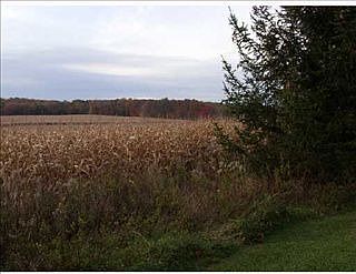 2nd image of 162 Saniga Rd