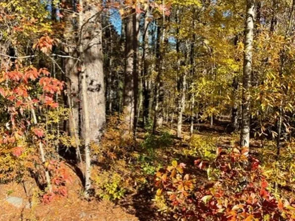 LOT 43 Laddie Dr Lot 43, Mabelvale, AR 72103