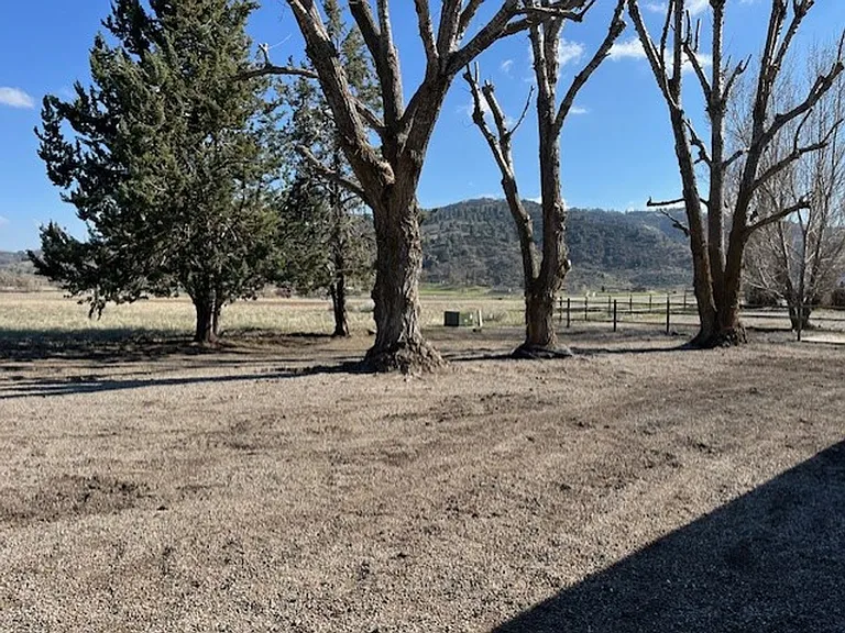 29342 Fawn Way — Photo 15