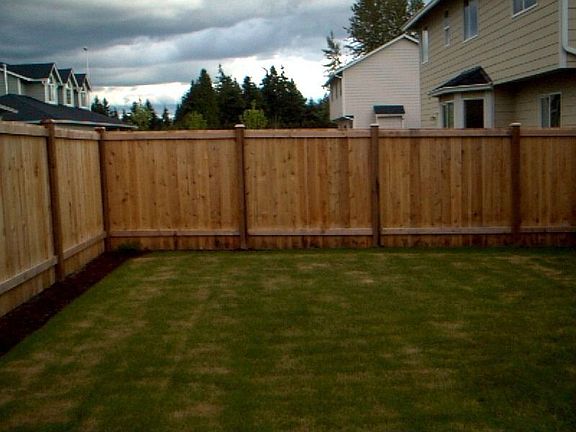 Fenced Backyard