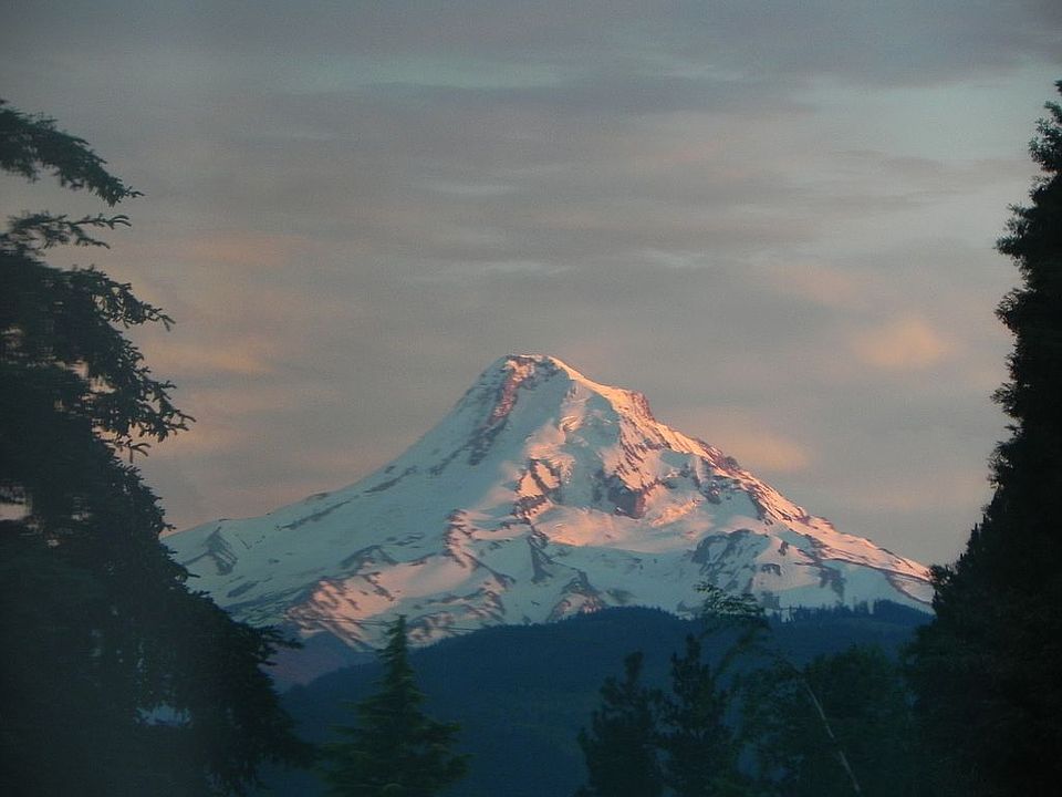 2nd image of 843 Adams Loop