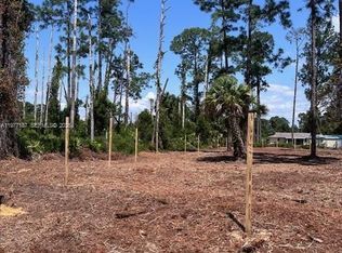 Lee County Unincorporated, Lehigh Acres, FL 33972