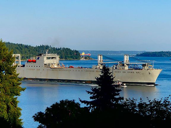 A passing Navy ship.
