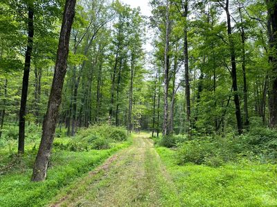 0 Rudolph Weir Junior Rd, Earlton, NY, 12058