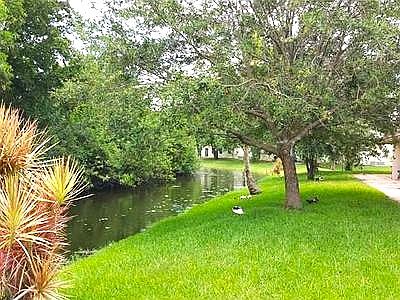 A few feet from your backyard. Get your fishing rod out!