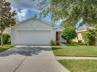 11557 Hammocks Glade Dr, Riverview, FL 33569