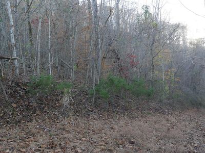 Tbd Bristol Hwy, Bristol, VA, 24202