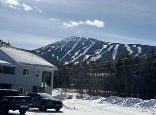 2661 Alder Brook Ln UNIT 2661, Kingfield, ME 04947