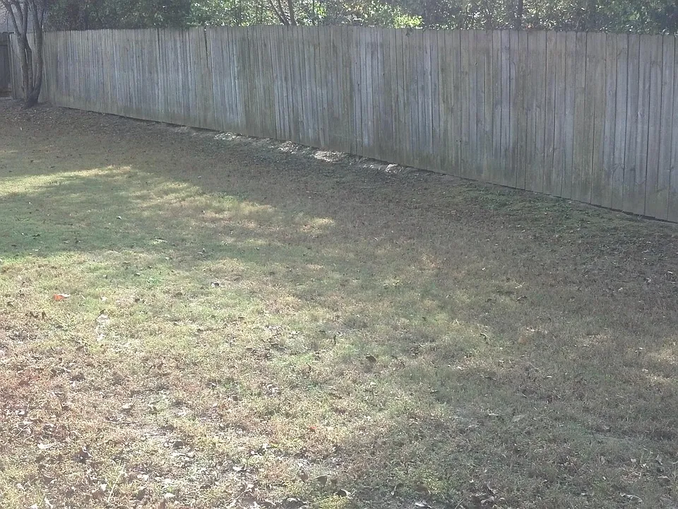 Backyard area