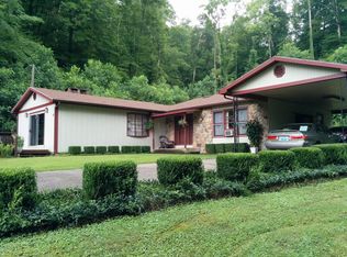 56 Cannel Coal Gap Rd, Hagerhill, KY 41222