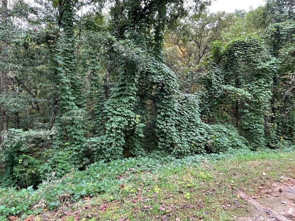 LOT 9 Rustic Ridge Trl, Young Harris, GA 30582