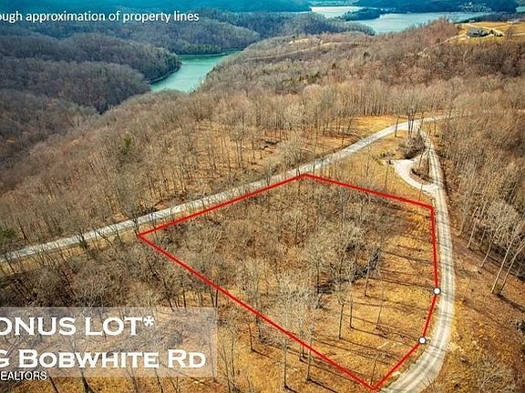 2nd image of 50 Crappie Ln