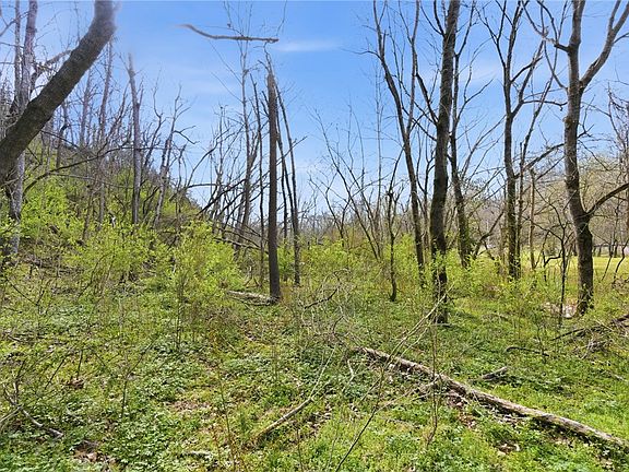 3rd image of 12782 Stoney Point Rd