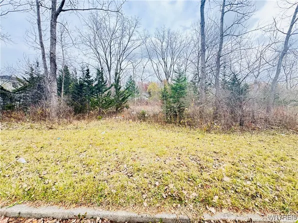 46 Fairgreen Dr, Buffalo, NY 14228