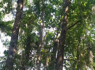 Johns Pl, East Palatka, FL 32131