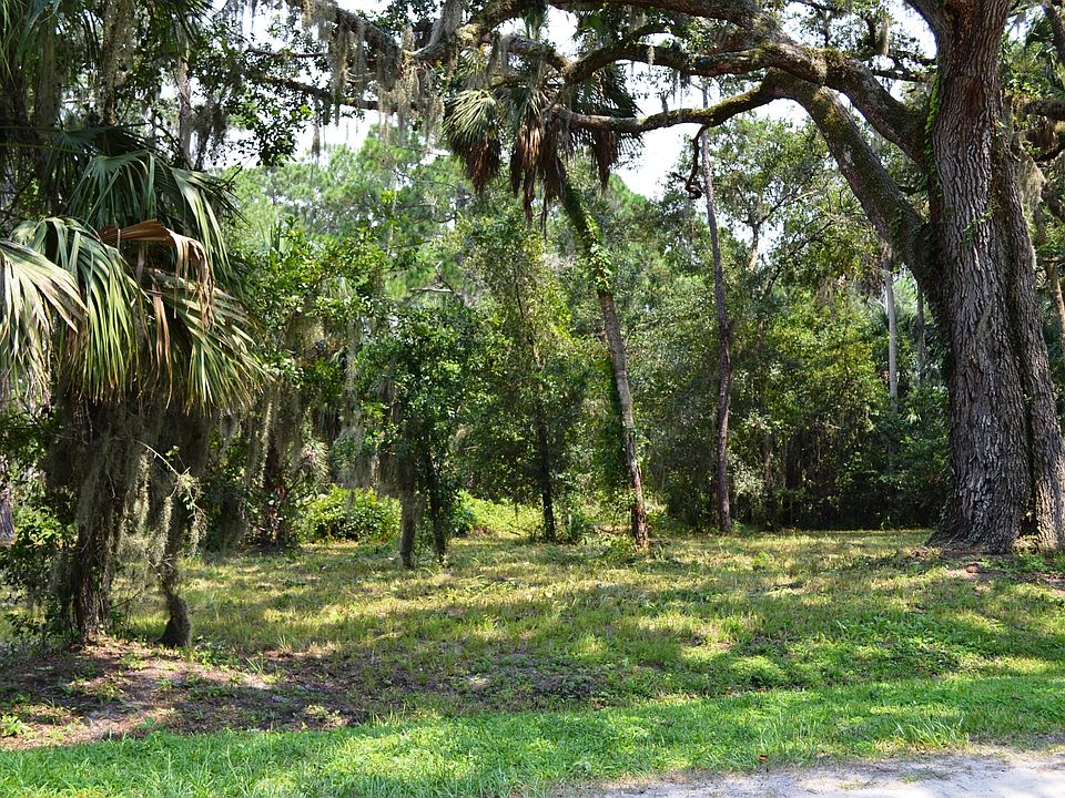 BEAUTIFUL OAK TREED LOT