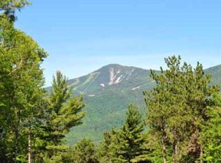 110 Juniper Hill Rd, Wilmington, NY 12997
