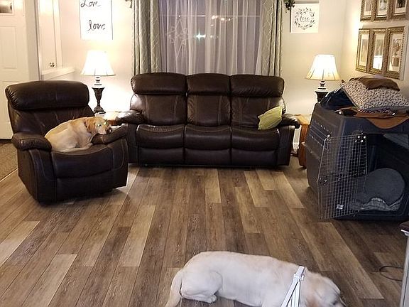 Large Living Room