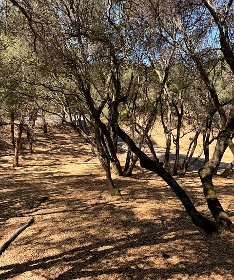 2330 Double O Mine Trl — Photo 58