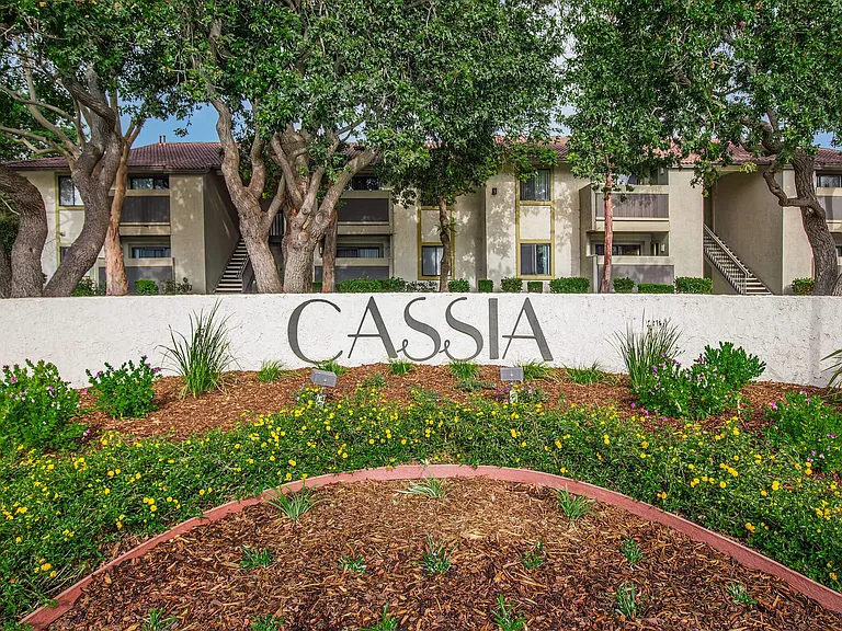 Cassia Apartments — Photo 35