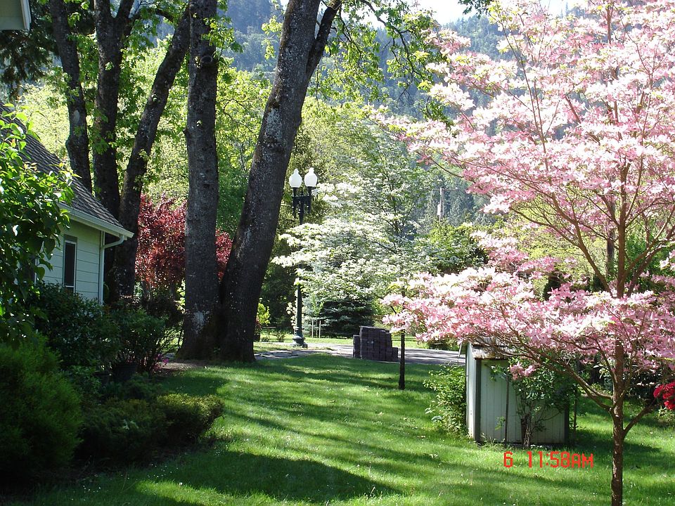 2nd image of 259 Blue Jay Ln