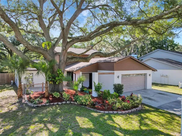 12603 RAIN FOREST STREET, TEMPLE TERRACE, FL 33617