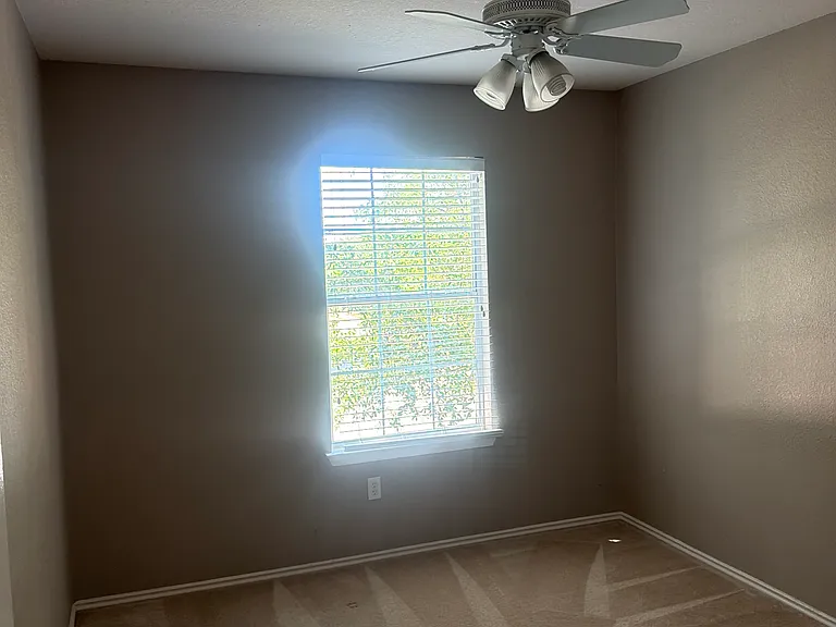 3809 Castle Rock Cv — Photo 27