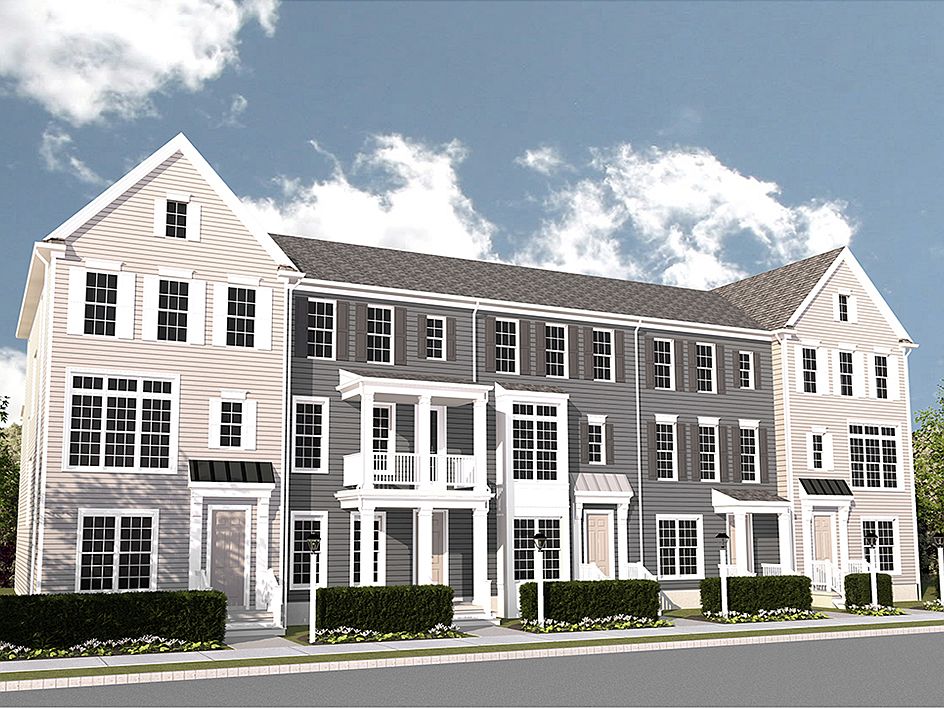 Elevation Rendering