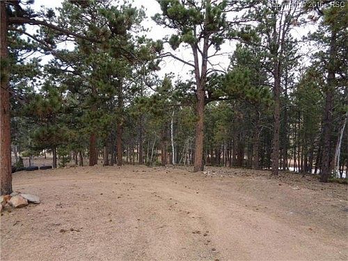 5th image of 184 Roger Ln