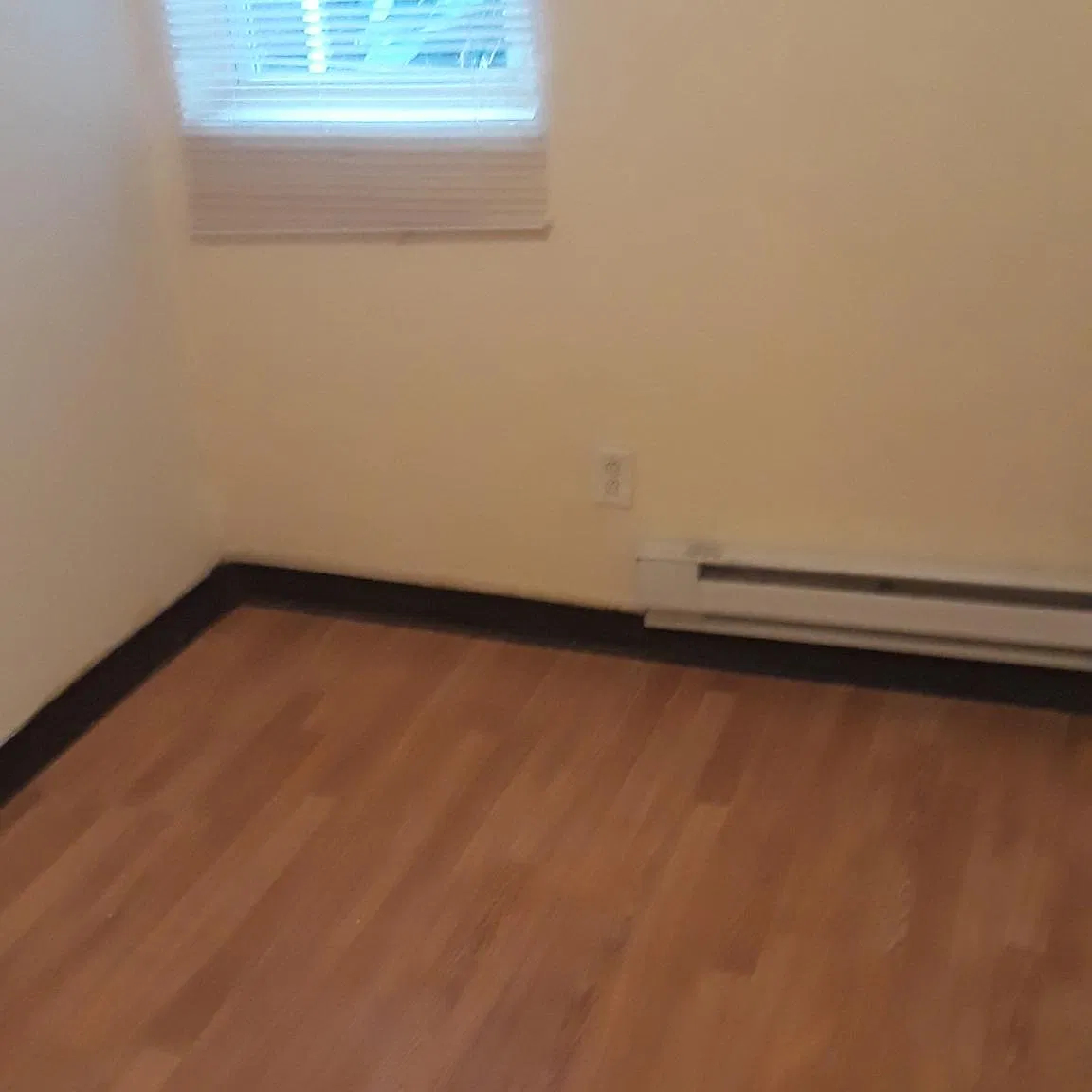 3 bed, 1.5 bath, 1110 sqft, $1,250 — Photo 3