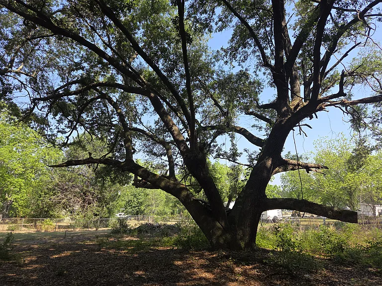1040 Short Cut Rd — Photo 21