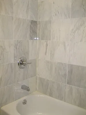 Rented by Tower Brokerage | media 43