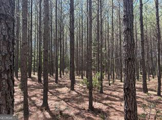 0 Wriley, Mc Intyre, GA 31054