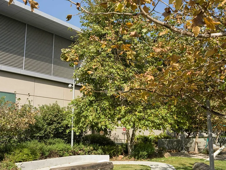 2900 Exposition Blvd #B — Photo 23