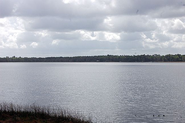 Across the road from Beautiful George's Lake
